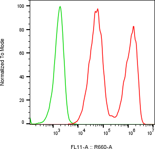 Rabbit-anti CD83 monoclonal antibody