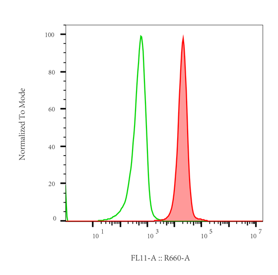 Rabbit-anti ROR2 monoclonal antibody