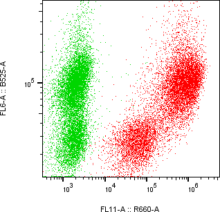 Rabbit-anti PNLIP monoclonal antibody