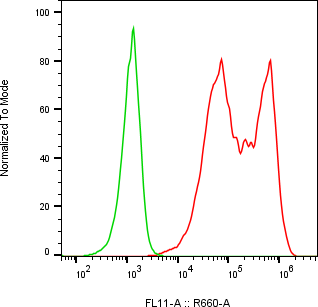 Rabbit-anti DCBLD1 monoclonal antibody