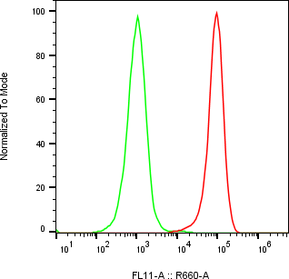 Rabbit-anti ENG monoclonal antibody