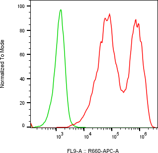 Rabbit-anti SPINK1 monoclonal antibody