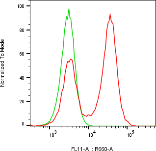 Rabbit-anti SAA1 monoclonal antibody