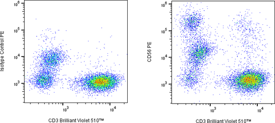 Rabbit-anti NCAM1 monoclonal antibody