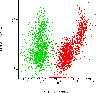 Rabbit-anti APOH monoclonal antibody