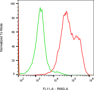Rabbit-anti HPSE monoclonal antibody