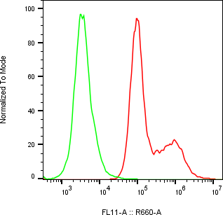 Rabbit-anti EMB monoclonal antibody