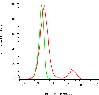 Rabbit-anti CLEC3B monoclonal antibody
