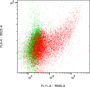 Rabbit-anti LRRC3 monoclonal antibody