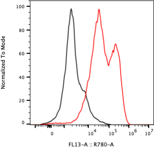 Rabbit-anti CGB8 monoclonal antibody