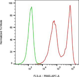 Rabbit-anti REG1B monoclonal antibody
