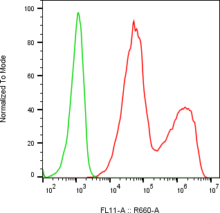 Rabbit-anti CD86 monoclonal antibody