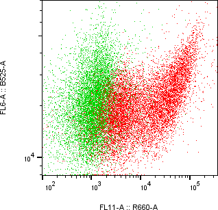 Rabbit-anti GDNF monoclonal antibody