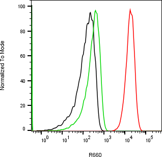 Rabbit-anti CLU monoclonal antibody