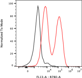 Rabbit-anti SERPINF1 monoclonal antibody