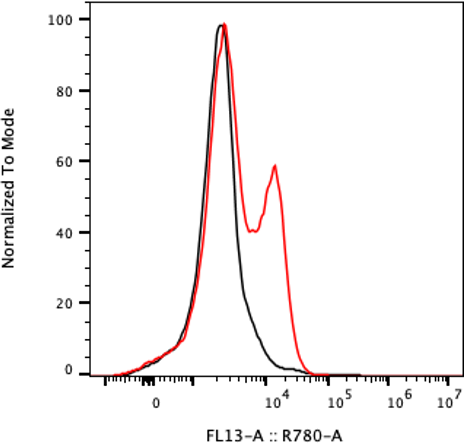 Rabbit-anti IL17-F monoclonal antibody