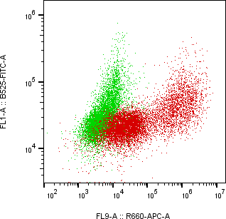 Rabbit-anti IL22 monoclonal antibody