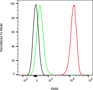 Rabbit-anti GPA33 monoclonal antibody