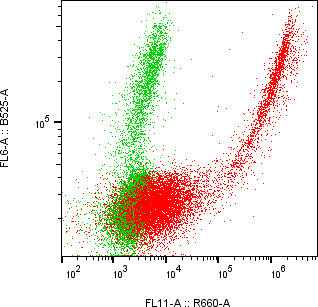 Rabbit-anti TREML2 monoclonal antibody