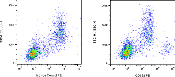 Rabbit-anti KIR2DL1 monoclonal antibody
