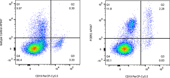 Rabbit-anti FCER2 monoclonal antibody