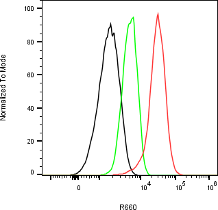 Rabbit-anti FSTL1 monoclonal antibody