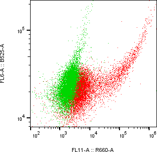 Rabbit-anti CDSN monoclonal antibody