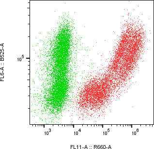 Rabbit-anti PLAU monoclonal antibody