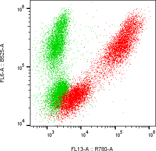 Rabbit-anti IFNA17 monoclonal antibody
