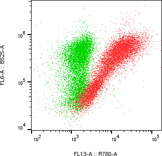 Rabbit-anti TNFRSF18 monoclonal antibody