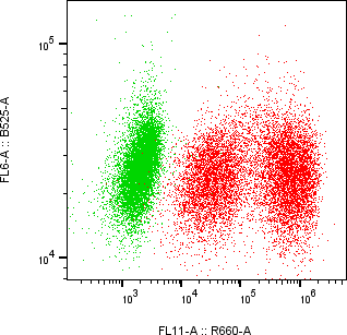 Rabbit-anti KLK6 monoclonal antibody