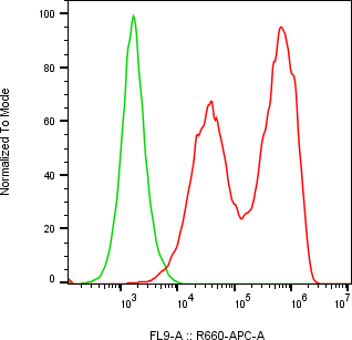 Rabbit-anti PTGDS monoclonal antibody