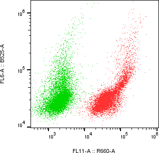 Rabbit-anti MFAP3 monoclonal antibody