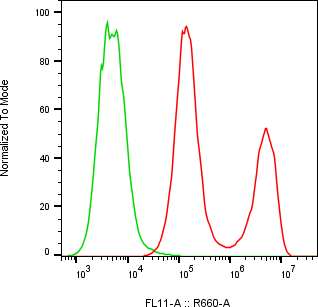 Rabbit-anti IL18BP monoclonal antibody