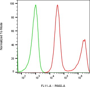 Rabbit-anti IL3 monoclonal antibody