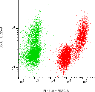 Rabbit-anti CSN3 monoclonal antibody