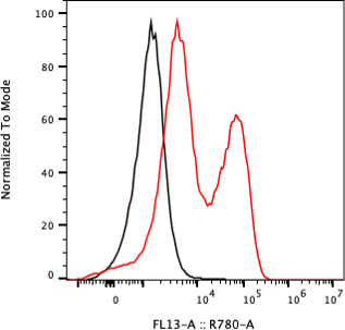 Rabbit-anti CA9 monoclonal antibody