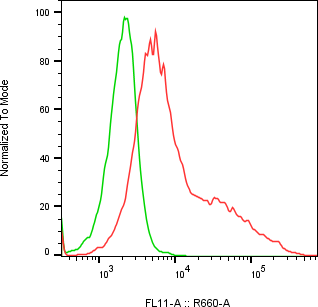 Rabbit-anti LRRC3 monoclonal antibody