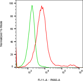 Rabbit-anti EGFR monoclonal antibody