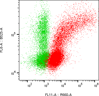 Rabbit-anti PODXL monoclonal antibody