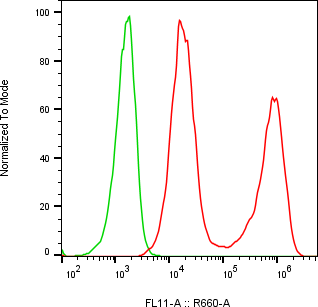 Rabbit-anti PTTG1IP monoclonal antibody