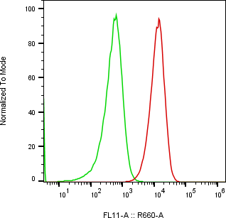Rabbit-anti NECTIN2 monoclonal antibody