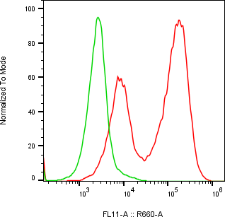 Rabbit-anti ICAM1 monoclonal antibody