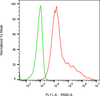 Rabbit-anti PODXL monoclonal antibody