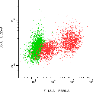 Rabbit-anti PSAP monoclonal antibody
