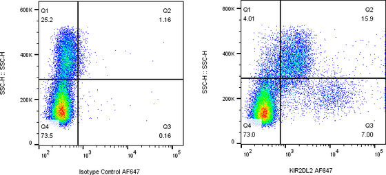 Rabbit-anti KIR2DL2 monoclonal antibody