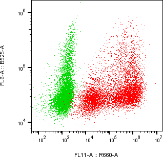 Rabbit-anti SPINK6 monoclonal antibody