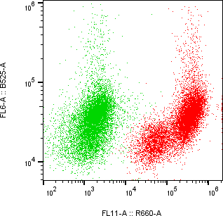 Rabbit-anti AMBP monoclonal antibody
