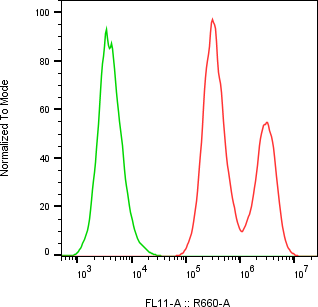 Rabbit-anti CCL2 monoclonal antibody