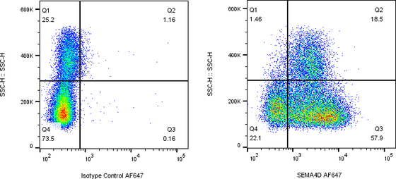 Rabbit-anti SEMA4D monoclonal antibody